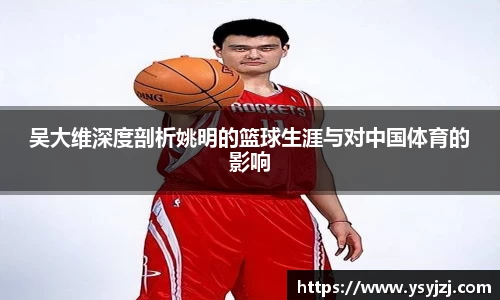 吴大维深度剖析姚明的篮球生涯与对中国体育的影响